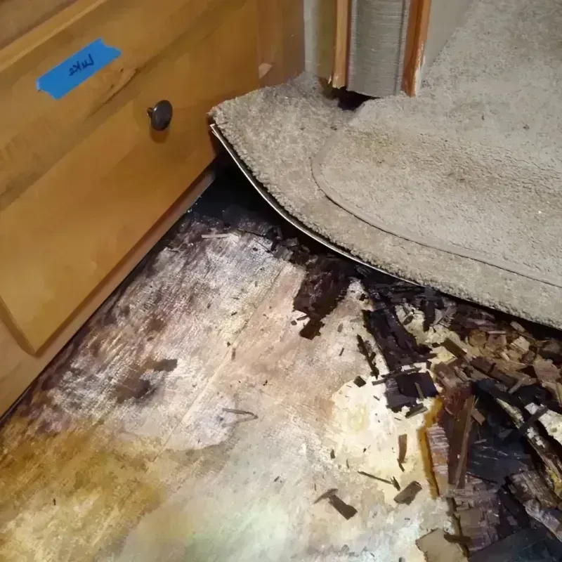 Best Wood Floor Water Damage Service in Greenville, RI